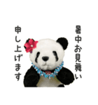 夏が来たー！（上野より愛をこめて）（個別スタンプ：13）