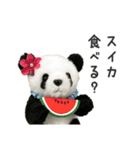 夏が来たー！（上野より愛をこめて）（個別スタンプ：14）