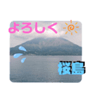 桜島はいかがです❓（個別スタンプ：14）
