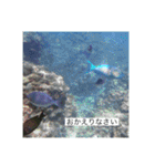 ウミノトモダチ✴︎Okinawa miyakoisland✴︎（個別スタンプ：11）