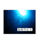 ウミノトモダチ✴︎Okinawa miyakoisland✴︎（個別スタンプ：19）