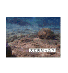 ウミノトモダチ✴︎Okinawa miyakoisland✴︎（個別スタンプ：28）