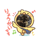 シュナスタンプ(くるり)（個別スタンプ：13）