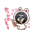 シュナスタンプ(くるり)（個別スタンプ：16）