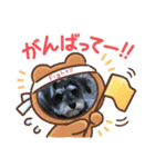 シュナスタンプ(くるり)（個別スタンプ：23）