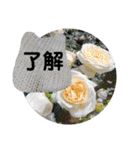 むんのおうち会話（個別スタンプ：24）