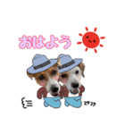 はなとさくの花咲くeveryday2（個別スタンプ：3）
