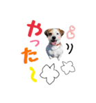 はなとさくの花咲くeveryday2（個別スタンプ：6）