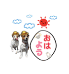 はなとさくの花咲くeveryday2（個別スタンプ：7）