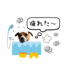 はなとさくの花咲くeveryday2（個別スタンプ：9）