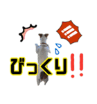 はなとさくの花咲くeveryday2（個別スタンプ：14）