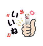はなとさくの花咲くeveryday2（個別スタンプ：15）
