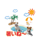 はなとさくの花咲くeveryday2（個別スタンプ：16）