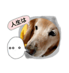 びーちゃん【12】（個別スタンプ：3）