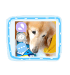 びーちゃん【12】（個別スタンプ：23）