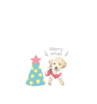 わんにゃんうさちゃん（個別スタンプ：16）
