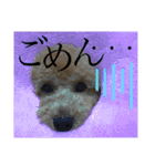 わんにゃんうさちゃん（個別スタンプ：22）