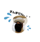 凛たんふぁみりー（個別スタンプ：5）