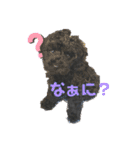 黒トイプーの雷蔵くん2（個別スタンプ：14）