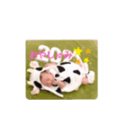 新太さん3（個別スタンプ：16）
