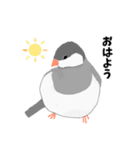 文鳥スタンプ 白文鳥と文鳥（個別スタンプ：1）