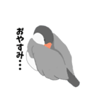 文鳥スタンプ 白文鳥と文鳥（個別スタンプ：2）