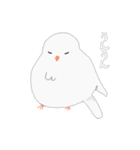 文鳥スタンプ 白文鳥と文鳥（個別スタンプ：5）