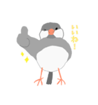 文鳥スタンプ 白文鳥と文鳥（個別スタンプ：7）