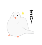 文鳥スタンプ 白文鳥と文鳥（個別スタンプ：8）