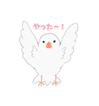 文鳥スタンプ 白文鳥と文鳥（個別スタンプ：9）