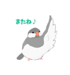 文鳥スタンプ 白文鳥と文鳥（個別スタンプ：10）