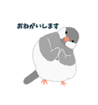 文鳥スタンプ 白文鳥と文鳥（個別スタンプ：15）