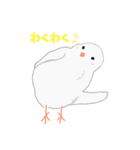 文鳥スタンプ 白文鳥と文鳥（個別スタンプ：25）