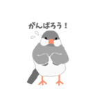 文鳥スタンプ 白文鳥と文鳥（個別スタンプ：27）
