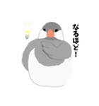 文鳥スタンプ 白文鳥と文鳥（個別スタンプ：34）