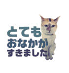 いっちのお戯れ（個別スタンプ：5）