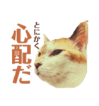 いっちのお戯れ（個別スタンプ：6）