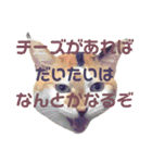 いっちのお戯れ（個別スタンプ：7）