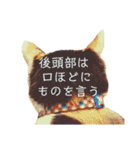 いっちのお戯れ（個別スタンプ：13）