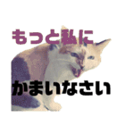 いっちのお戯れ（個別スタンプ：20）