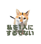 いっちのお戯れ（個別スタンプ：28）