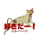 いっちのお戯れ（個別スタンプ：36）