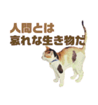 いっちのお戯れ（個別スタンプ：39）