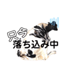 牛過ぎるスタンプ2（個別スタンプ：17）