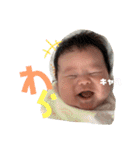 3M・Reoto（個別スタンプ：37）