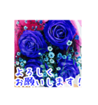 バラのお花（薔薇、ばら）（個別スタンプ：2）