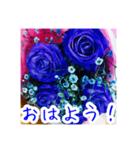 バラのお花（薔薇、ばら）（個別スタンプ：3）