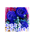 バラのお花（薔薇、ばら）（個別スタンプ：4）