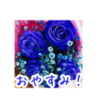 バラのお花（薔薇、ばら）（個別スタンプ：7）