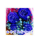 バラのお花（薔薇、ばら）（個別スタンプ：8）